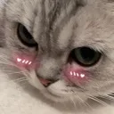uwu