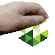 salad_pat salad_pat