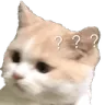 catthink
