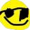 hovi_sunglas