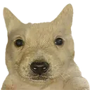 AAA