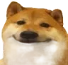 doghuh