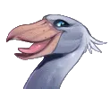 Shoebill Shoebill