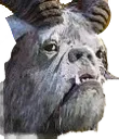 bouldog