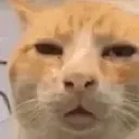 HUH