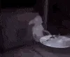 dobby
