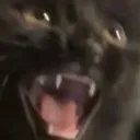 AAAAAA AAAAAA