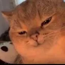 hehebish Discord Emoji
