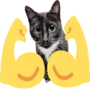 3142musclecatremovebgpreview Discord Emoji