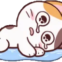 ara_kitty_cry