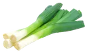 leek