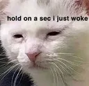 woke woke