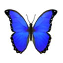 ew_iBlueButterfly Discord emoji