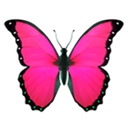 ew_iPinkButterfly Discord emoji