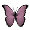 ew_iPurpleButterfly Discord emoji