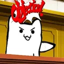 Ji_CatObjection