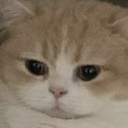 catriste_FDB Discord emoji