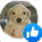 tkmlike_FDB Discord emoji