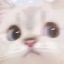 scared