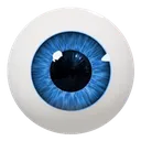eyebol