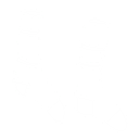 AJROKO06Socks Discord emoji