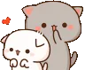 miuheadpatcare