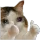 kitty_ok