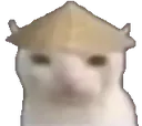 ChingChongCat Discord Emoji