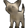 weed