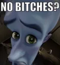nobitches