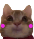 CadeBlush Discord emoji