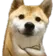 kyahua_sal