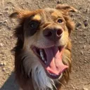 9shooterhappy Discord Emoji