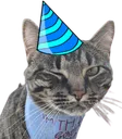 birthdayboykitty