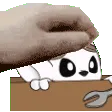 oakpat_k
