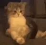 notkok