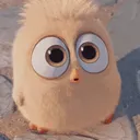 __