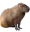 CoconutDoggy