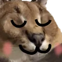 gatoFloppuwu