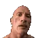 RockEyebrow