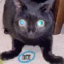 gus