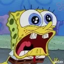 hellspongeinsane hellspongeinsane