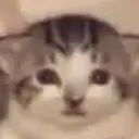 a_