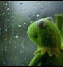frogsad Discord emoji