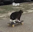 bai