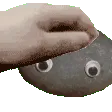 petthepablo