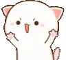 rawrr