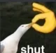 shut