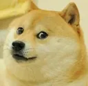 z_mbg_emrabalaraju z_mbg_emrabalaraju