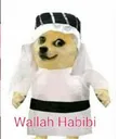 z_mbg_dubaiseatu